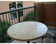 1 Bedroom Condo 2951 South