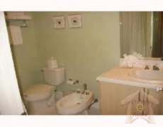 1 Bedroom Condo 2951 South