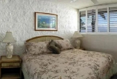 2 Bedrooms Condo Kanai-A-Nalu-402 