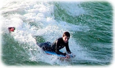 1 Bedroom Condo D204 SPECTACULAR