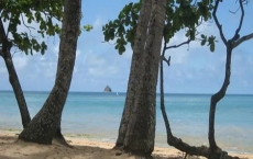 1 Bedroom Apartment 1 Bedroom