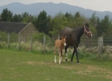 2 Bedrooms Barn Gateside Semi