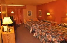 1 Bedroom Hotel Complexe Hotelier