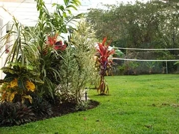 3 Bedrooms Apartment Warm Breezes