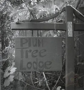 1 Bedroom BnB One Bedroom