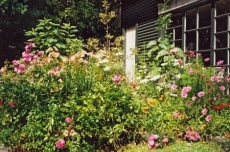 1 Bedroom BnB One Bedroom