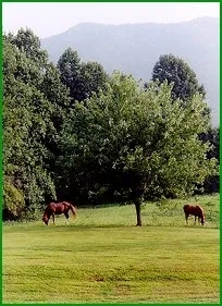 2 Bedrooms Condo Rabbit Creek