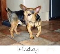 5 Bedrooms BnB Allt Gynack