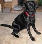 5 Bedrooms BnB Allt Gynack