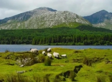 1 Bedroom BnB Lynfield Guest