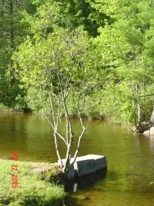 2 Bedrooms Chalet Adirondack Rest