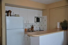 Hawaiian Inn - Oceanfront Palm Suite