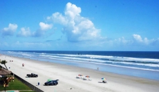 Hawaiian Inn - Oceanfront Palm Suite