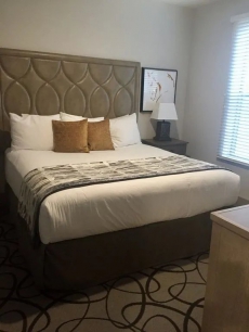 Miles of walking, hiking or biking trails!