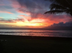 10 steps from the ocean! Pristine 1BR condo, newly remodeled!