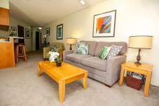 Cheery, beautiful Kihei condo