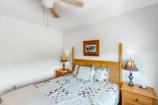 Black Bear Boogie - Gatlinburg, TN