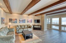 Telluride Tranquility - Telluride, CO