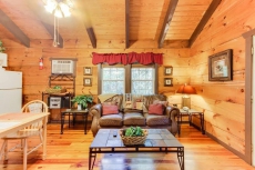 Dog-friendly log cabin w/ in-room Jacuzzi, screened-in deck, & outdoor hot tub