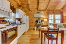 Cozy dog-friendly cabin w/private hot tub, jetted tub & great screened-in deck