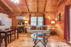 Cozy dog-friendly cabin w/private hot tub, jetted tub & great screened-in deck
