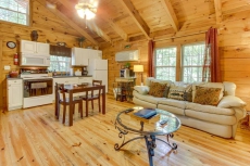 Cozy dog-friendly cabin w/private hot tub, jetted tub & great screened-in deck