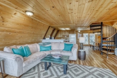 Dog-friendly cabin w/ amazing Lake Tahoe view - close to Heavenly!