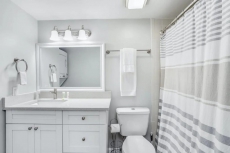 A Place in the Pines