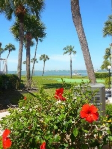 2 bedrooms in St. Petersburg, Florida